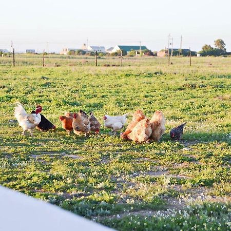 Aintree Farm Cottage Langebaan Buitenkant foto