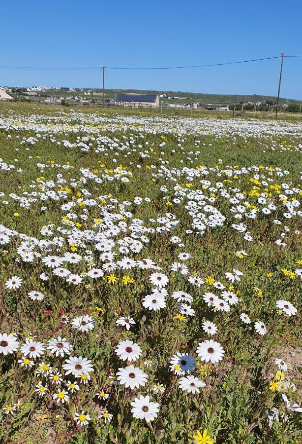 Aintree Farm Cottage Langebaan Buitenkant foto